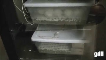 How to build a reptile egg incubator + [Shout outs]