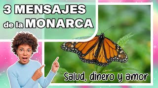 Los 3 Mensajes Espirituales De La Mariposa Monarca Salud, Dinero Y Amor