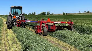 Mowing some very thick triticale! Chopping it in the rain!