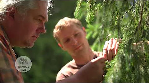 Jaká je viskozita kapalin?