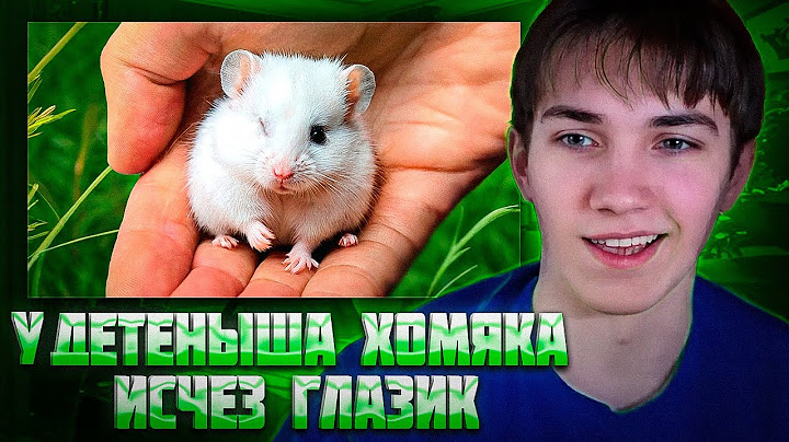 ARMEYYES СМОТРИТ SliwkiShow У ДЕТЕНЫША ХОМЯКА ИСЧЕЗ ГЛАЗИК