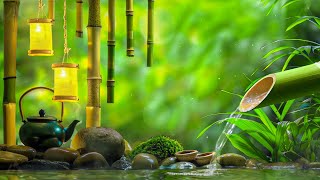 Relaxing Music to Rest the Mind, Stress, Anxiety 🌿 Relax and Sleep, Music to Meditate