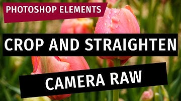 Photoshop Elements: Crop and Straighten Photos in the Camera RAW Editor