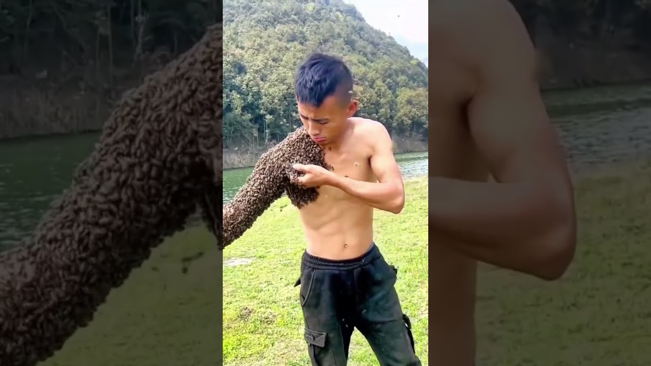 Bees attack on humans π#viral #youtubeshorts #like #amazing #shorts #bees #honeybee