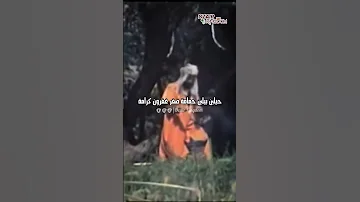 عثمان عريوات عثمان عريوات 