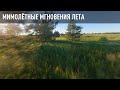 Мимолетные мгновения лета. FPV Freestyle