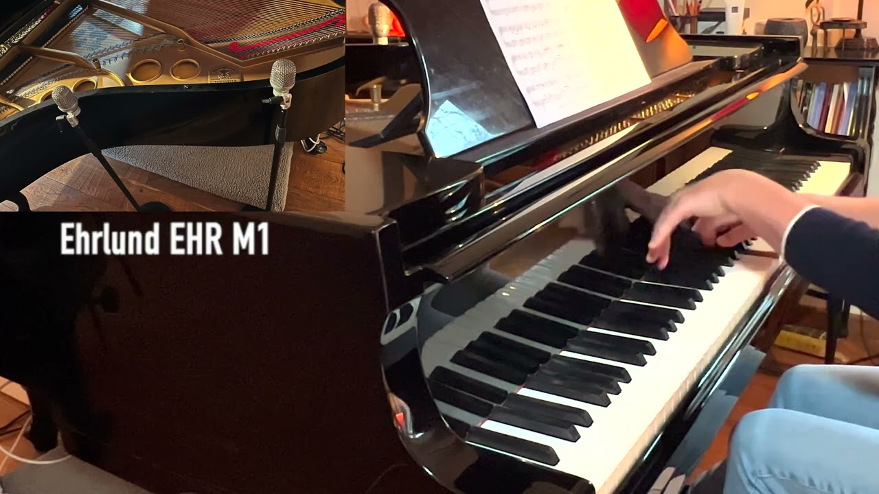 Mira 'Somewhere' West Side Story, recorded with Ehrlund EHR M1 vs. Royer SF-12 vs. DPA 4006 en YouTube Mira 'Somewhere' West Side Story, recorded with Ehrlund EHR M1 vs. Royer SF-12 vs. DPA 4006 en YouTube