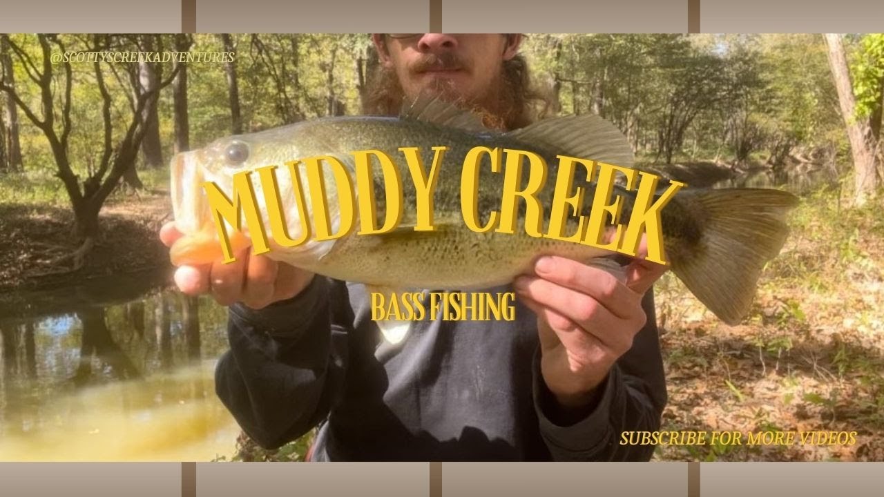 Bass fishing muddy creek for lots of fish!