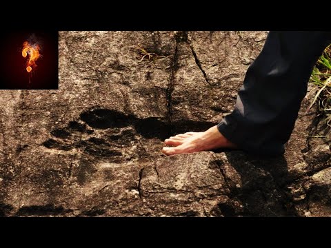 👣 Giant Footprint
