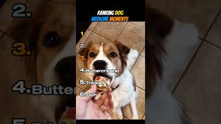 Ranking Dog Medicine Moments
