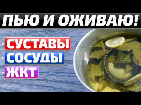 Чудо отвар из лавровых листьев! Пил и избавился от многих болезней