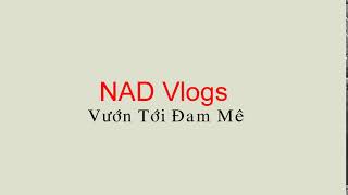 Nad Vlogs Chuẩn Bị Ra Các Video Nhé Các Bạn