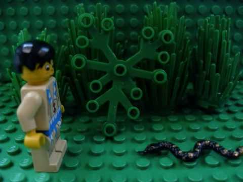 a review of emily dickinsons poem a narrow fellow in the grass This abstention is most evident in dickinson’s poem about a snake, “a narrow fellow in the grass” (986), in which dickinson refrains from the easy reference to satan in eden indeed, in many of her nature poems, such as “a bird came down the walk” ( 328 ), dickinson ultimately insists on depicting nature as unapologetically . a review of emily dickinsons poem a narrow fellow in the grass This abstention is most evident in dickinson’s poem about a snake, “a narrow fellow in the grass” (986), in which dickinson refrains from the easy reference to satan in eden indeed, in many of her nature poems, such as “a bird came down the walk” ( 328 ), dickinson ultimately insists on depicting nature as unapologetically .