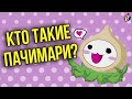 История Пачимари — главного маскота Overwatch #PachiMarchi