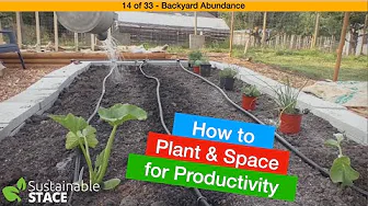 14 of 33 - Backyard Abundance - How to Plant & Space for Productivity