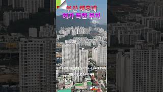 시행,사업,건축,신축부지매매