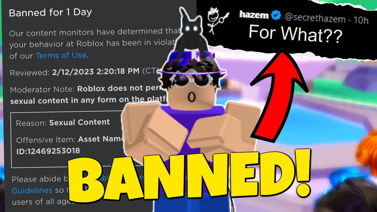 Banned for 1 Day Our content monitors have determined that your behavior at  Roblox has been