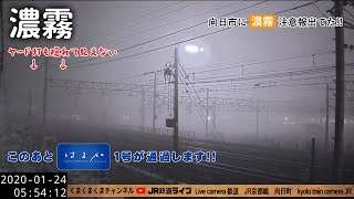 濃霧で向日町操車場真っ白＠ライブカメラ 鉄道 JR京都線 向日町 （2020/01/24 05:54）