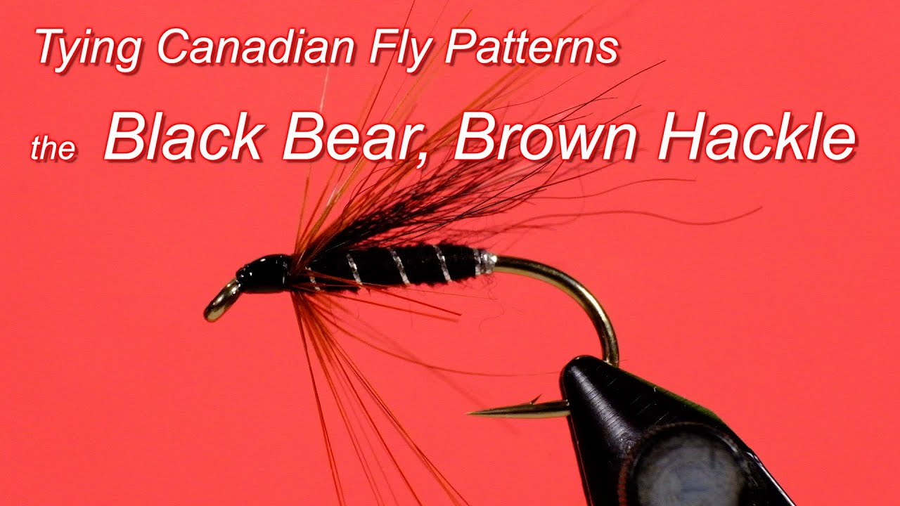 Tying Canadian Fly Patterns: the Black Bear, Brown Hackle by George  Routledge 