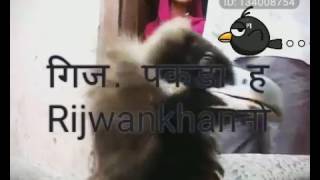 Alamu Alaikum Ne Pakda Hai Badi Mushkil Se Mere