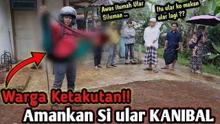 WARGA KETAKUTAN! AMANKAN SI ULAR KANIBAL SUPER JUMBO! ULAR MAKAN ULAR KEPERGOK WARGA!