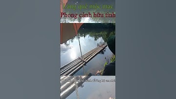 Câu Cá Mương Suối | Câu Cá Giải Trí Và Ẩm Thực #shorts