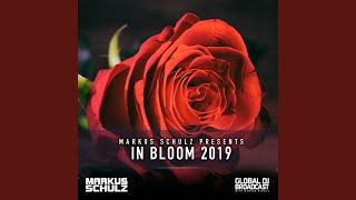 Смотреть клип Wild Rose (Gdjb In Bloom 2019)