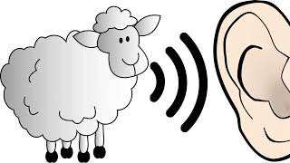 Sheep 🔊 | Sheep Sound effects | Sound effects - No Copyrights