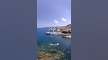 ﴿أفمن شرح الله صدره للإسلام...﴾ تلاوة عطرة للقارئ الشيخ محمد اللحيدان✨