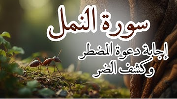 🐜سورة النمل|| راحة نفسية بصوت من السماء مريح و يدفعك للتدبر و التأمل -تلاوة هادئة😔حماية من المؤذيات💓