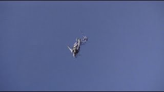5K HD - GIMME (official video)