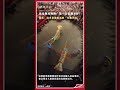 見過舞龍舞獅，第一次見舞龍蝦 #舞獅