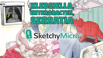 Come si trasmette la Serratia?