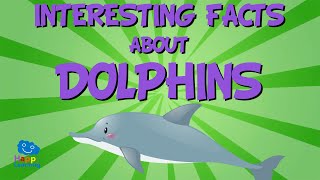 INTERESTING FACTS: DOLPHINS - The most curious marine mammals! | Educational Videos for Kids