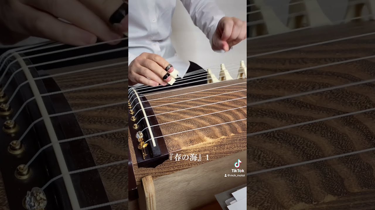 お箏の素敵なフレーズ紹介「春の海」1 #japan #music #箏曲