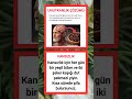 Unutkanlık & Kansızlık #sağlık #unutkanlık #kansızlık #sağlıklıyaşam #sağlıklıbeslenme #hastalık