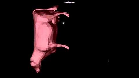 rasterization