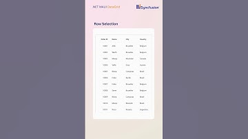 Easy Selection and Visual Customization with .NET MAUI DataGrid