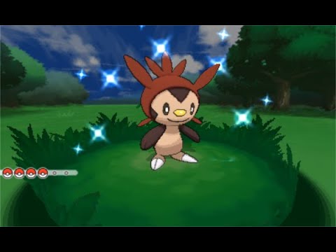 I hope it is this easy to see if you have a shiny starter in X/Y