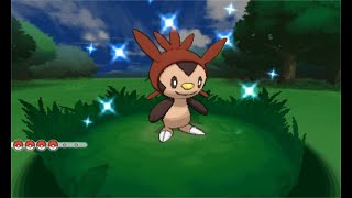 Live Shiny Chespin! Only 72!! [X BQ#1]