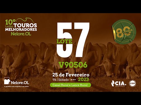 LOTE 57 V90506 - 10º LEILÃO - TOUROS MELHORADORES NELORE OL