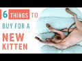 6 THINGS to Buy for a NEW KITTEN | CAT ESSENTIALS | Preparation