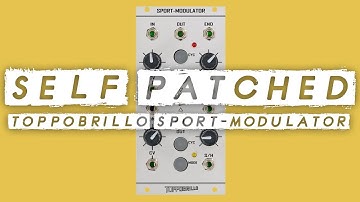 SELF PATCHED! Toppobrillo Sport Modulator // Serge style chaotic feedback
