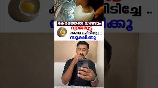 കേരളത്തിൽ വീണ്ടും വ്യാജമുട്ട കണ്ടുപിടിച്ചേ .. സൂക്ഷിക്കൂ