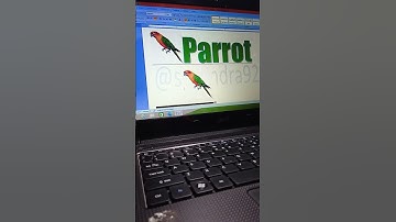 parrot 🦜 in ms word using just a keyboard shortcut you won