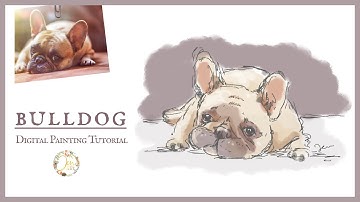 Bulldog Illustration Tutorial | Quick Digital Painting Technique - Using Autodesk Sketchbook Pro