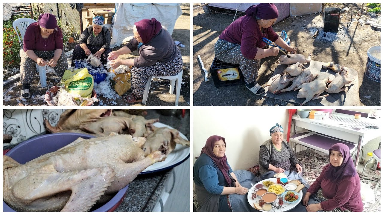 UŞAK /BOZKUŞ KÖYÜN NESİ MEŞHUR KOMŞULARIMLA KAZ TEMİZLEDİK SEZONU AÇTIK