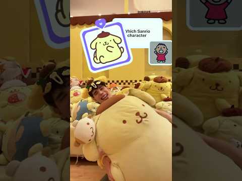 POMPOMPURIN PLUSHIE OVERLOAD!