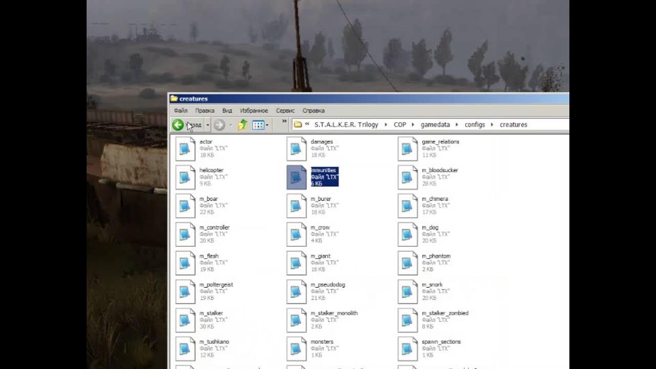 Бесконечный бег в сталкере зов припяти. Как в сталкере увеличить переносимый вес. Как сделать вес в сталкере тень чернобыля. Как увеличить переносимый вес в сталкере тень чернобыля. K.