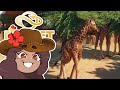 Gardens for Hungry GIRAFFES!! 🦒 SAHULA SAFARI • #38